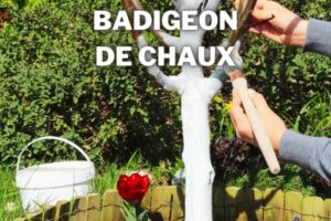 badigeon de chaux pour arbres fruitiers