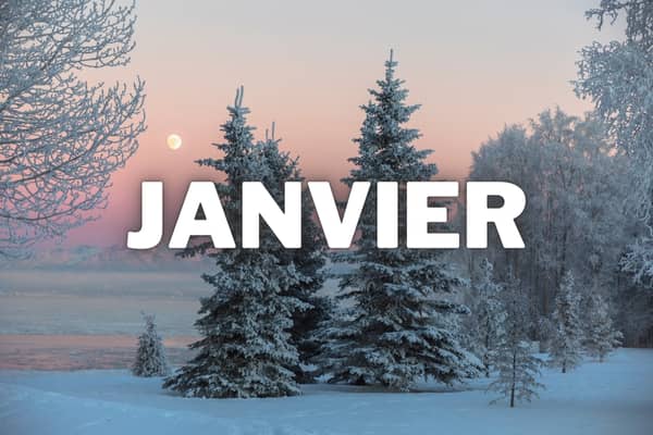 fruits et legumes de saison en janvier